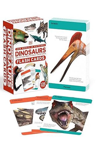 Our World in Pictures Dinosaurs and Other Prehistoric Creatures Flash Cards